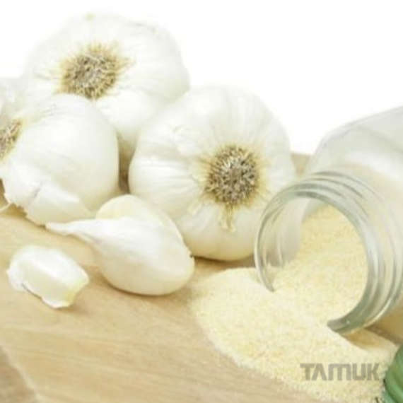 پودر سیر پلنت شاپ