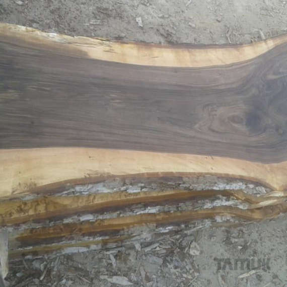 اسلب گردو سیاه